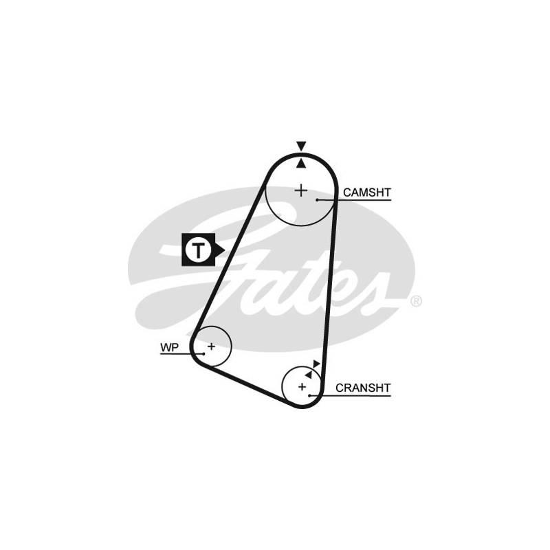 Cinghia/catena distribuzione - GATES