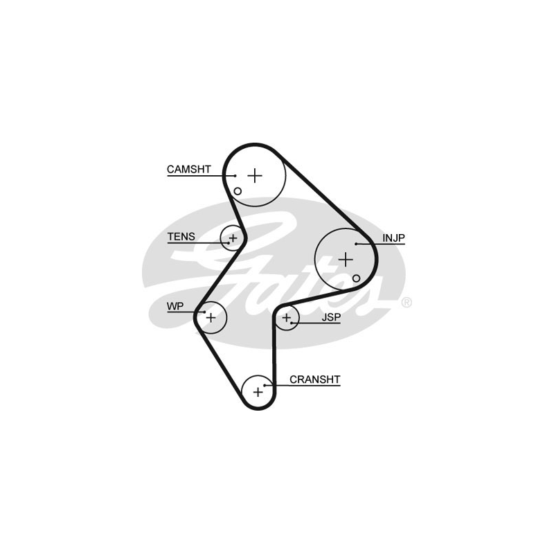 Cinghia/catena distribuzione - GATES