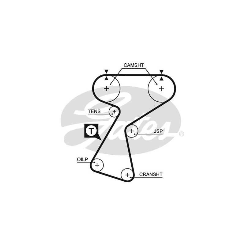 Cinghia/catena distribuzione - GATES