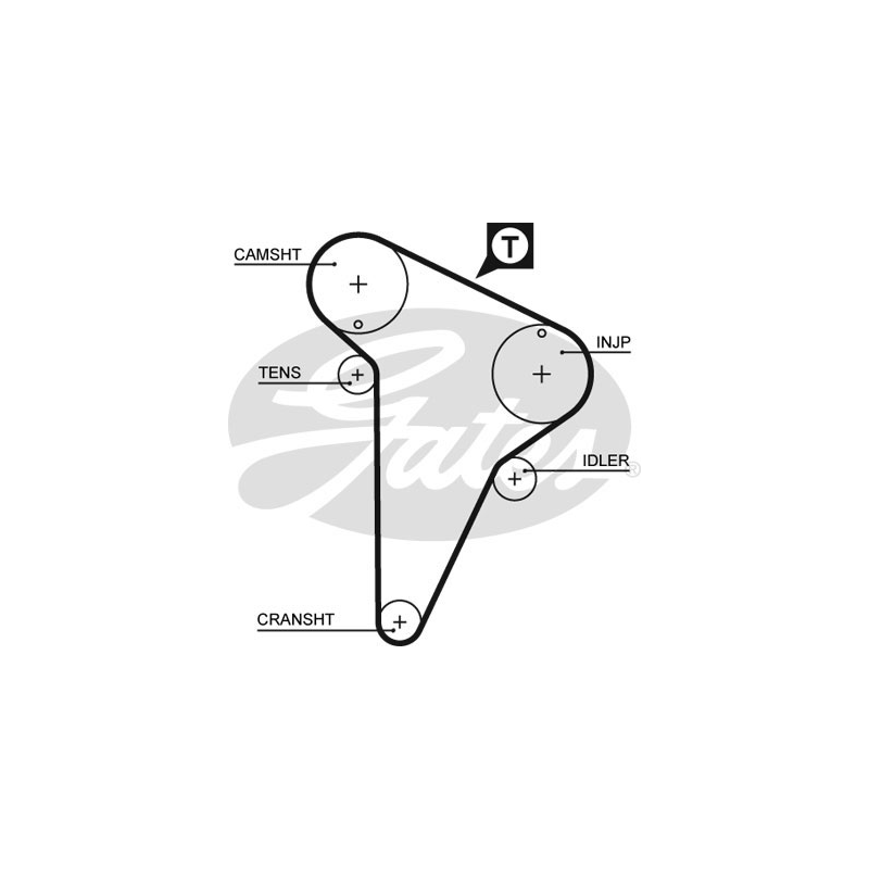 Cinghia/catena distribuzione - GATES