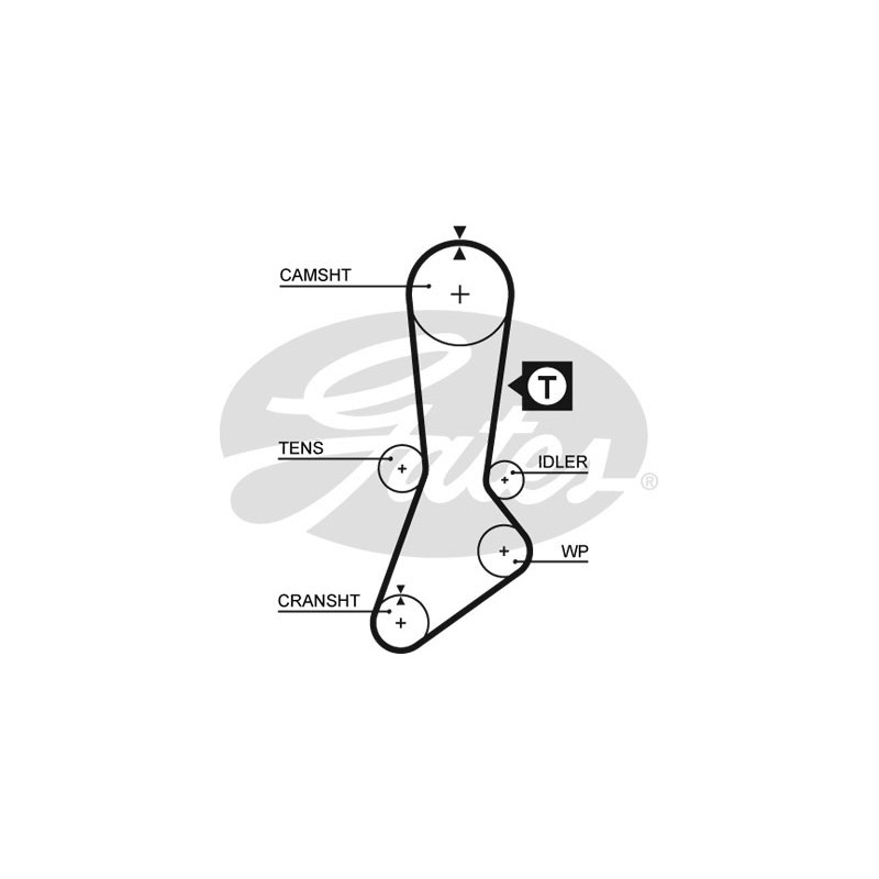 Cinghia/catena distribuzione - GATES