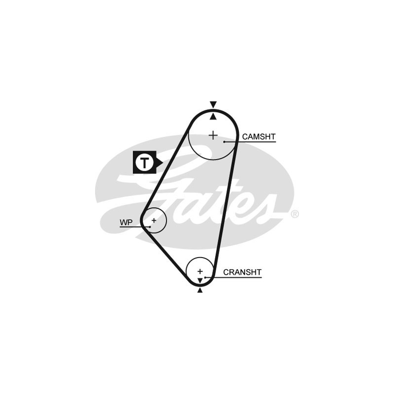 Cinghia/catena distribuzione - GATES