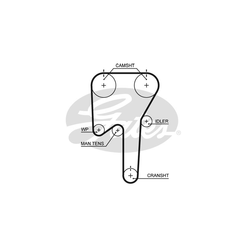 Cinghia/catena distribuzione - GATES