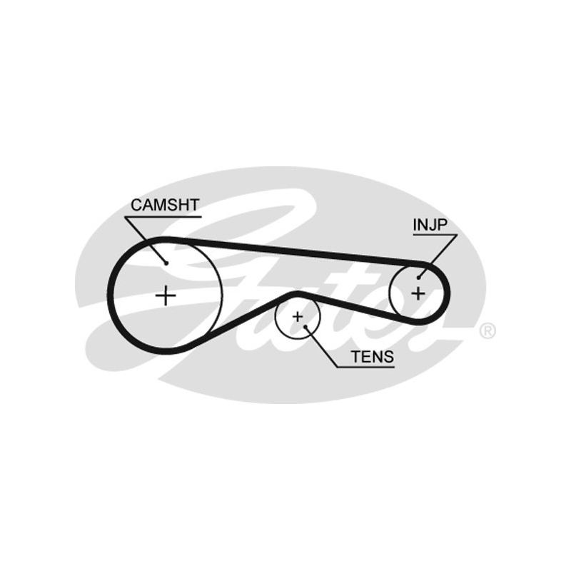 Cinghia/catena distribuzione - GATES