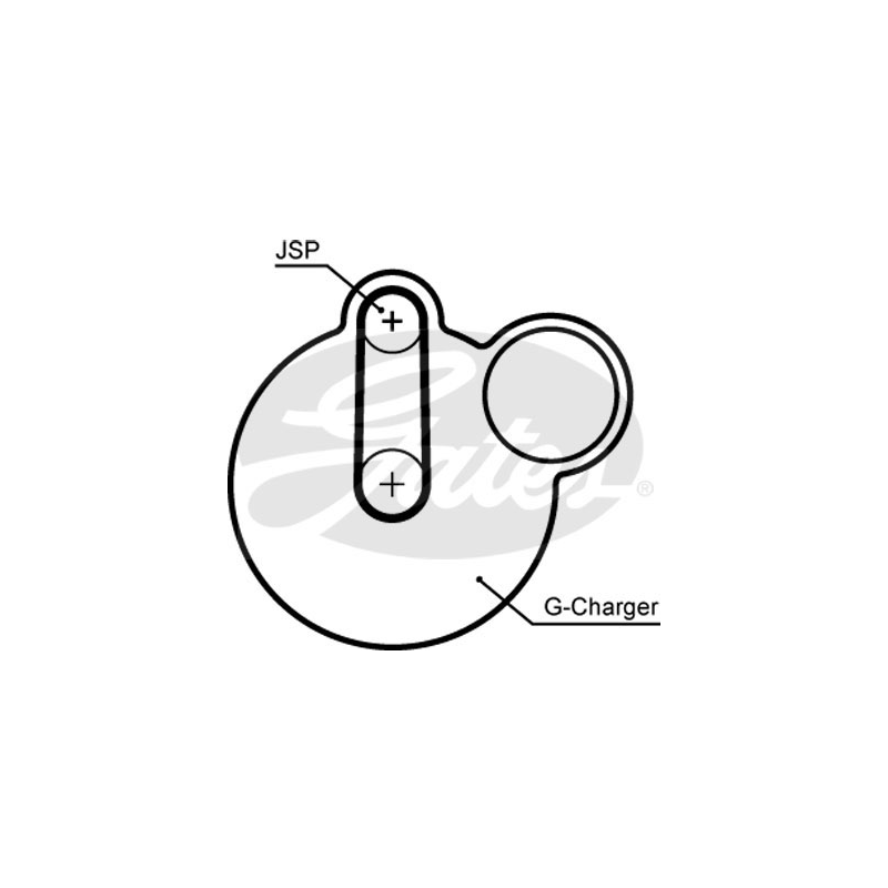 Cinghia/catena distribuzione - GATES