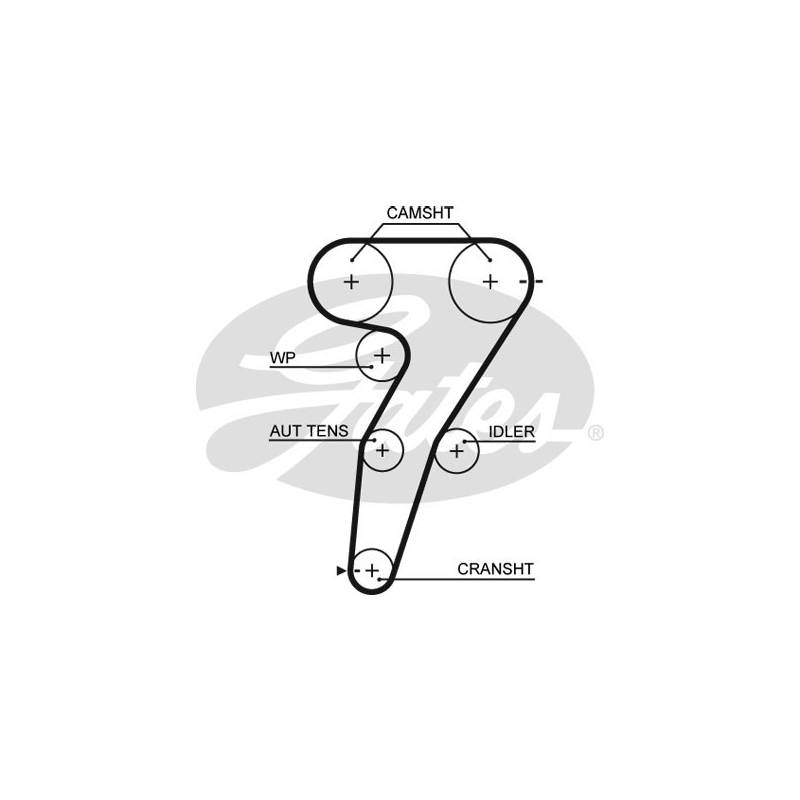 Cinghia/catena distribuzione - GATES