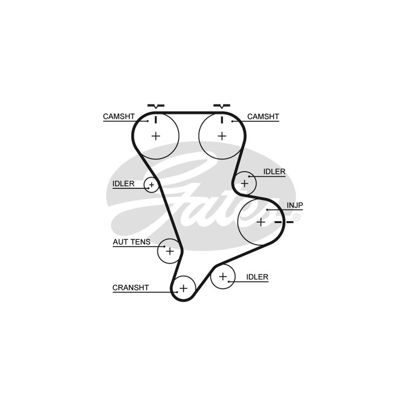 Cinghia/catena distribuzione - GATES