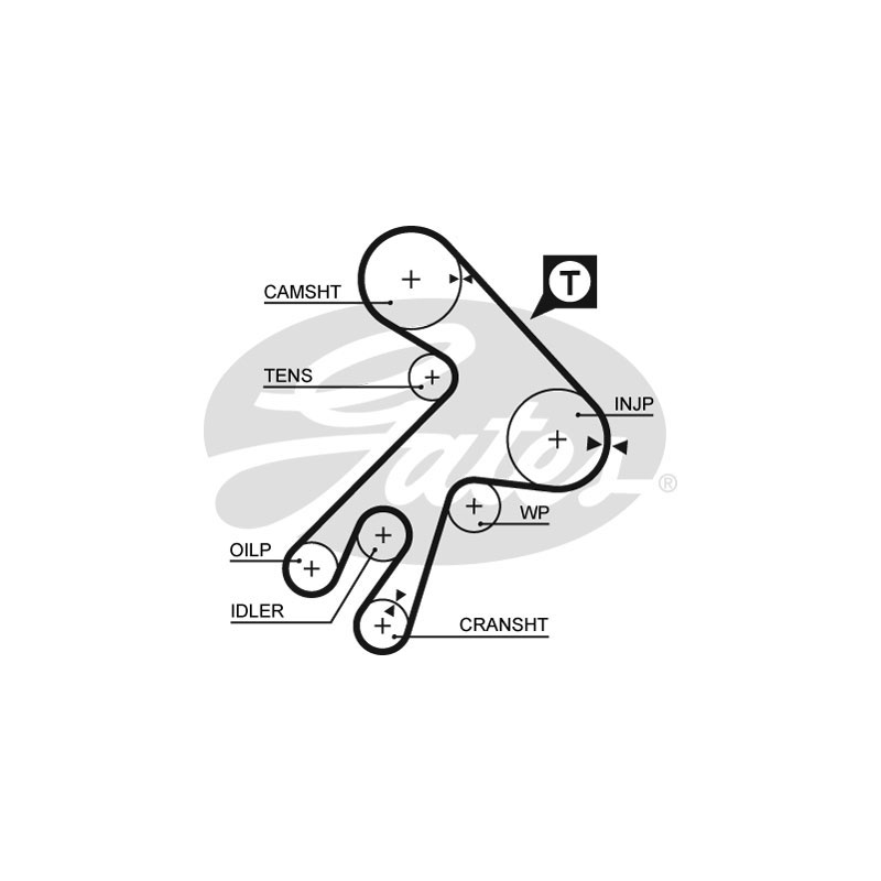 Cinghia/catena distribuzione - GATES