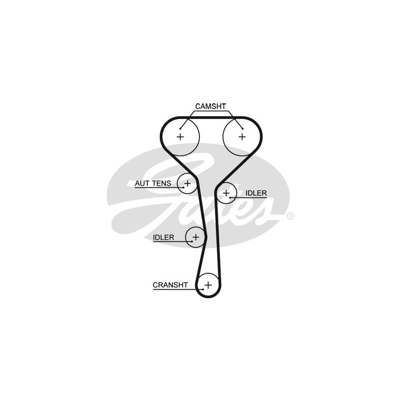 Cinghia/catena distribuzione - GATES