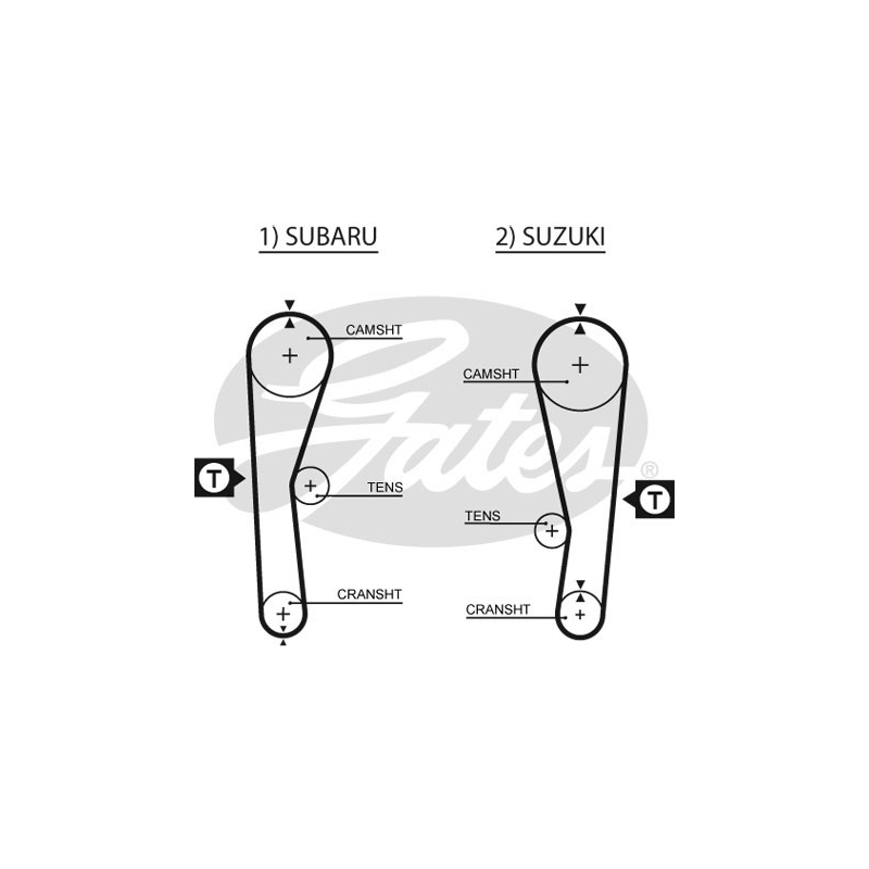 Cinghia/catena distribuzione - GATES