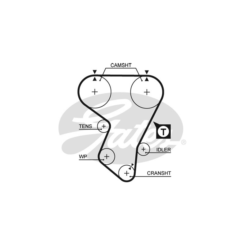 Cinghia/catena distribuzione - GATES