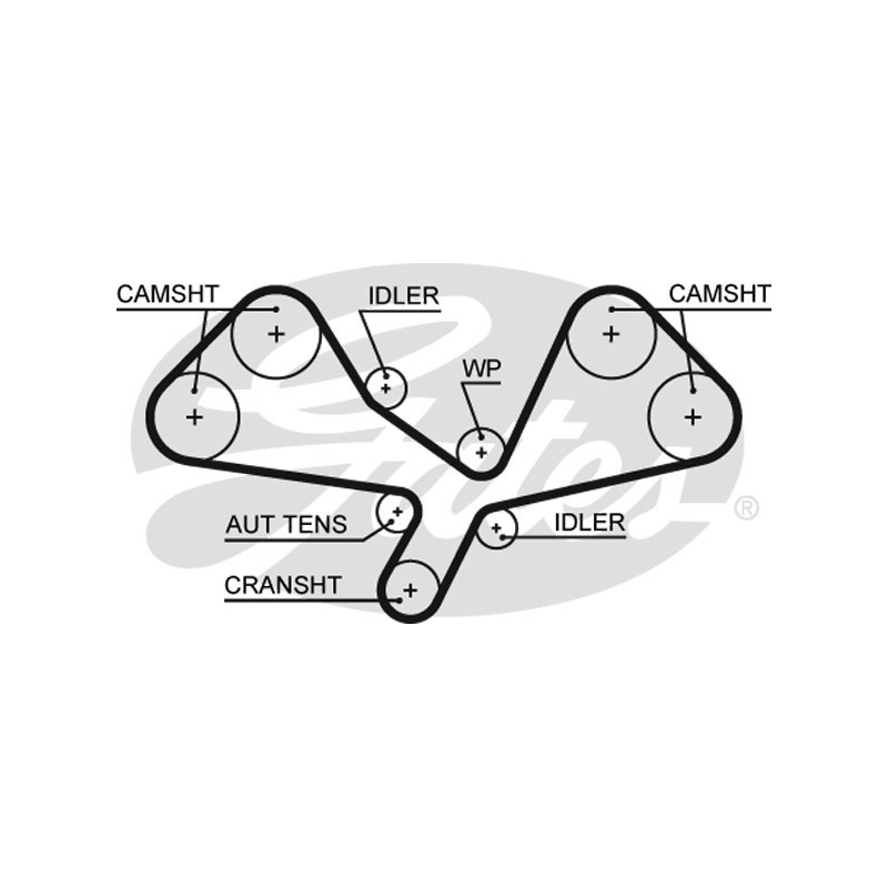Cinghia/catena distribuzione - GATES