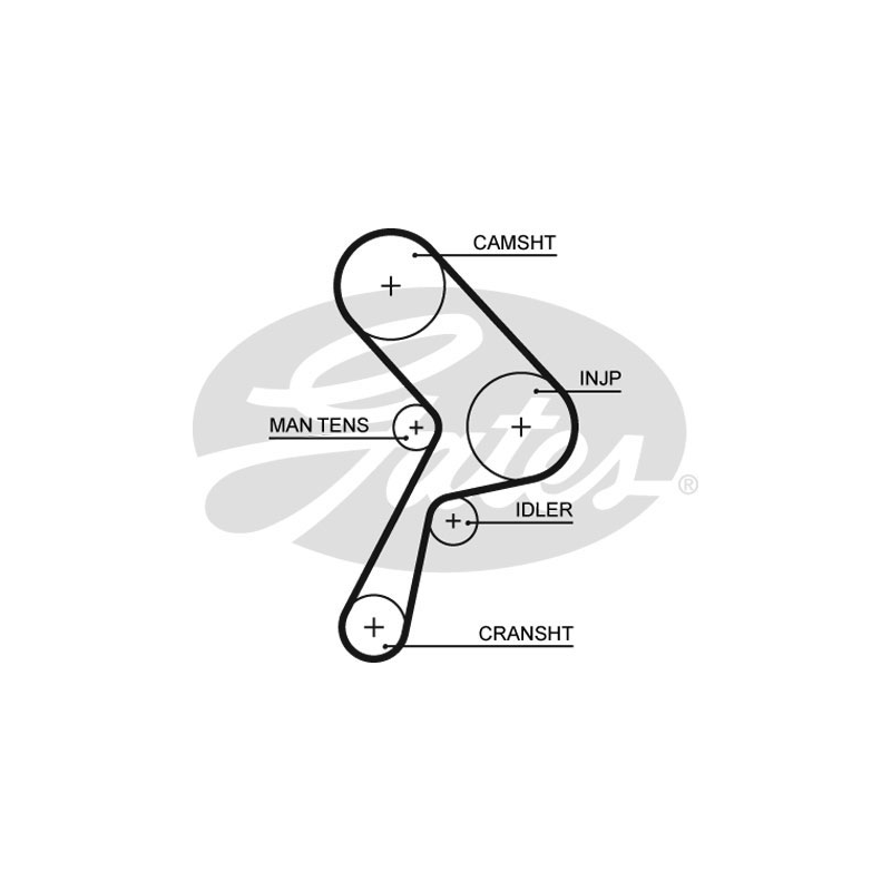Cinghia/catena distribuzione - GATES