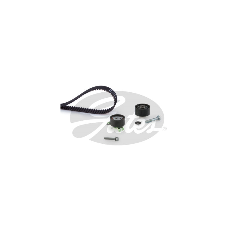 Kit distribuzione - GATES