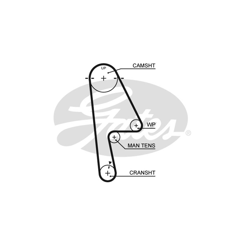 Cinghia/catena distribuzione - GATES