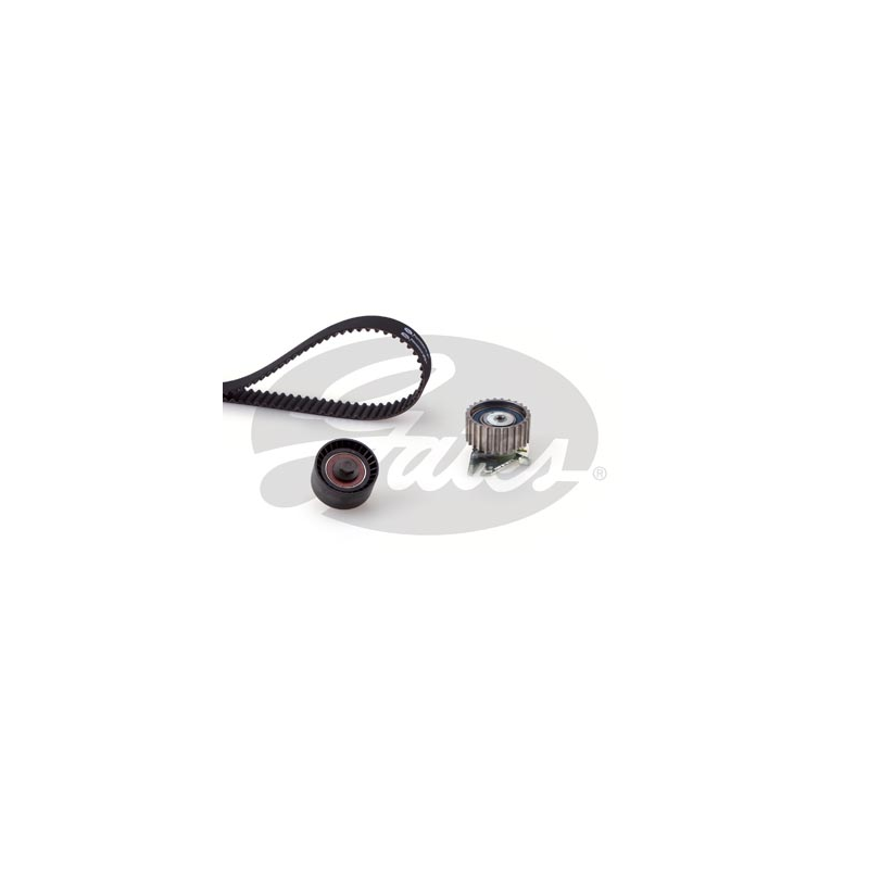 Kit distribuzione - GATES