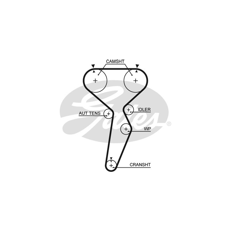 Kit distribuzione - GATES