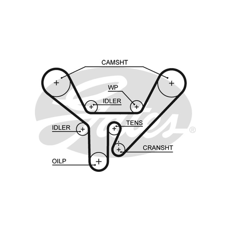 Cinghia/catena distribuzione - GATES