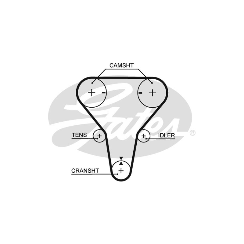 Cinghia/catena distribuzione - GATES