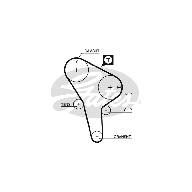 Cinghia/catena distribuzione - GATES