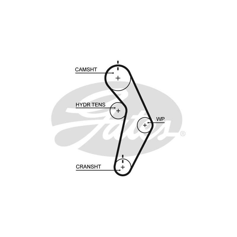 Cinghia/catena distribuzione - GATES