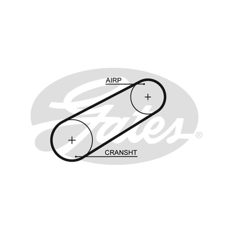 Cinghia/catena distribuzione - GATES