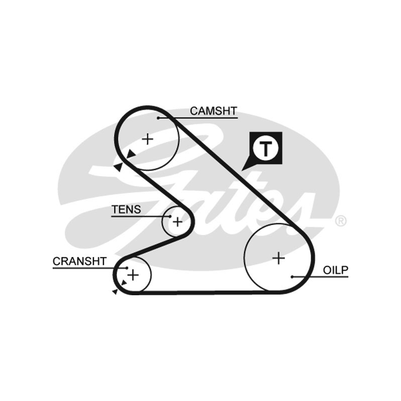 Cinghia/catena distribuzione - GATES