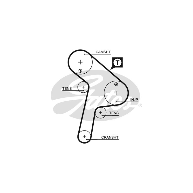 Cinghia/catena distribuzione - GATES