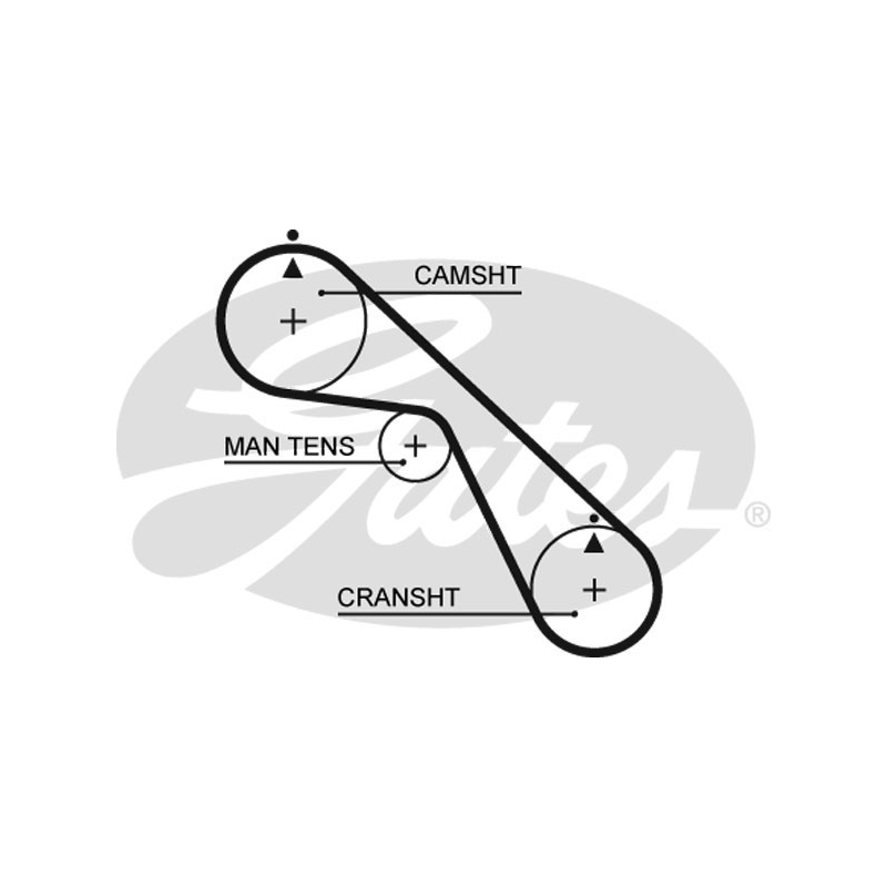 Cinghia/catena distribuzione - GATES