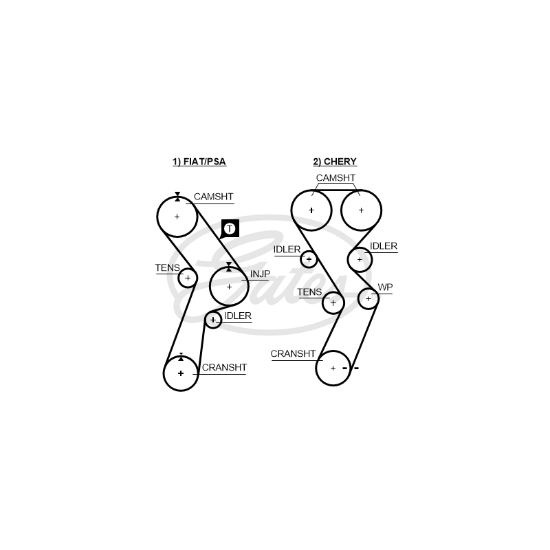 Cinghia/catena distribuzione - GATES