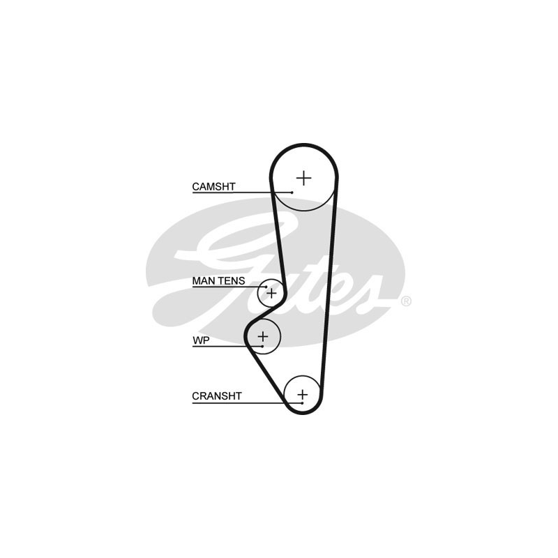 Cinghia/catena distribuzione - GATES