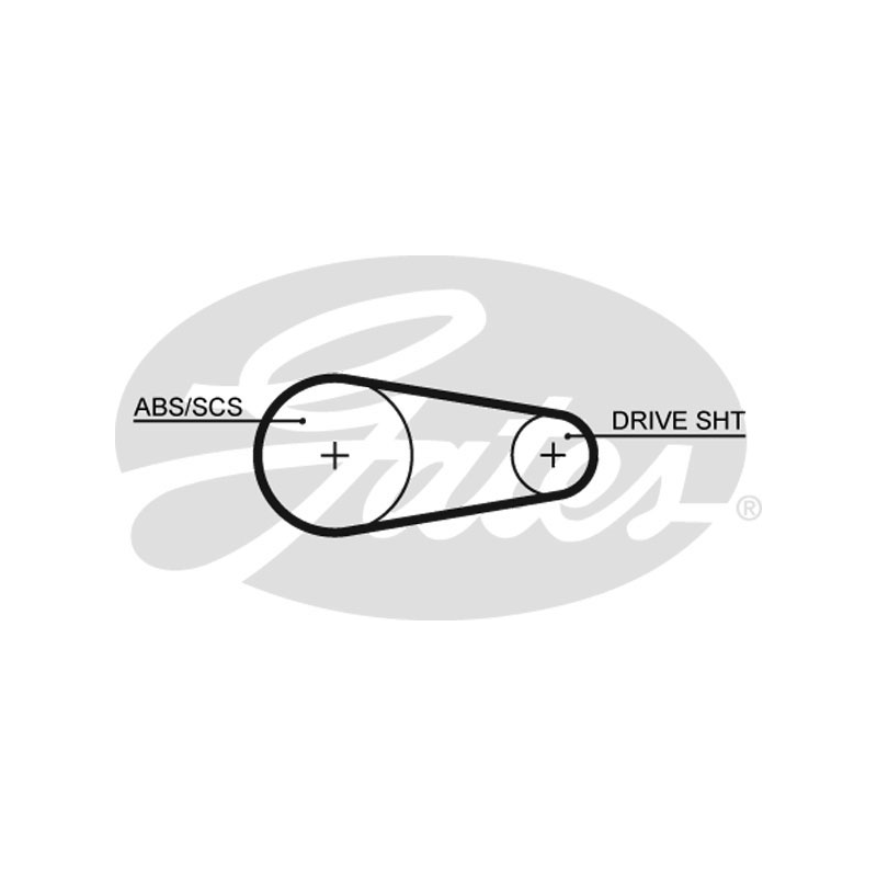 Cinghia/catena distribuzione - GATES