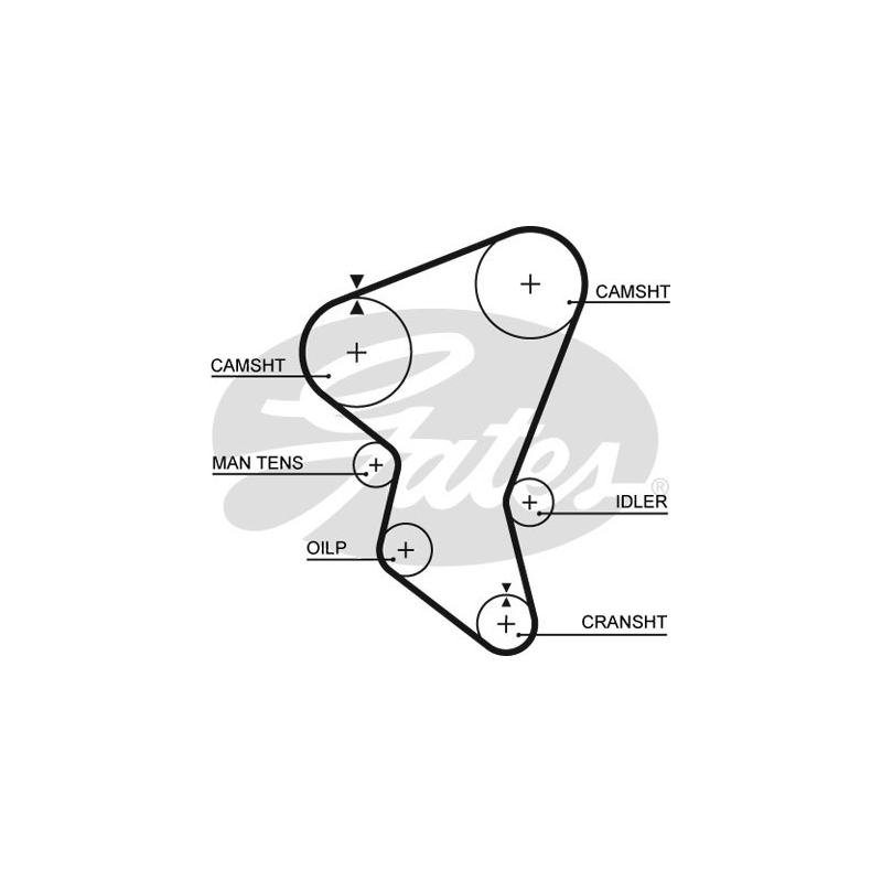 Cinghia/catena distribuzione - GATES