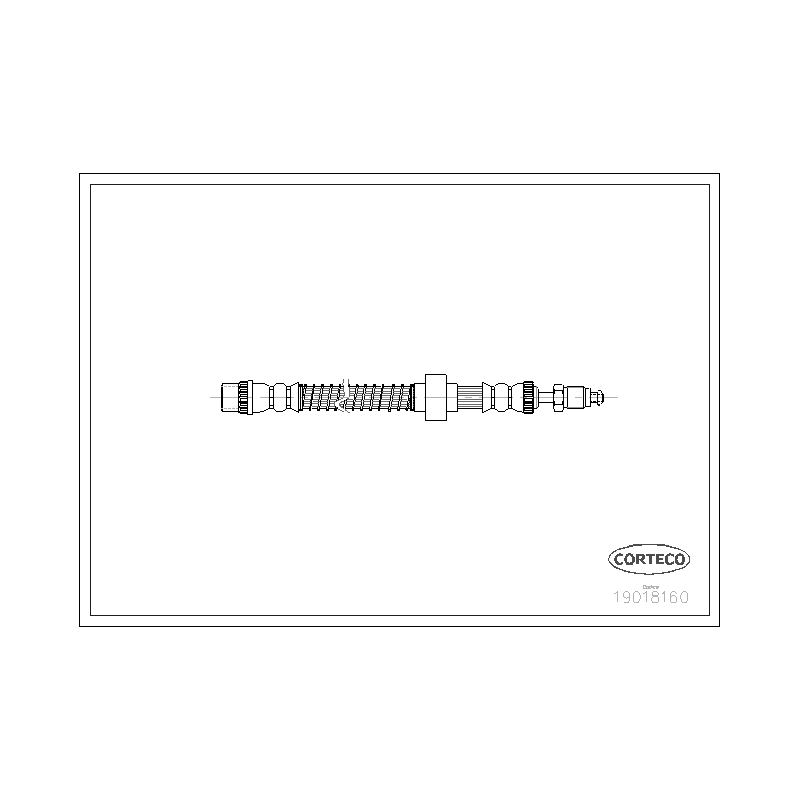 Flessibile freno asse posteriore - CORTECO