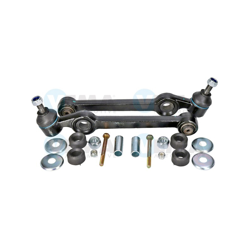 Braccio oscillante asse posteriore - VEMA