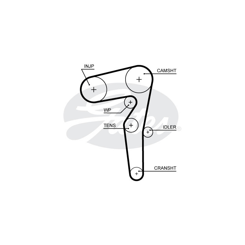 Cinghia/catena distribuzione - GATES