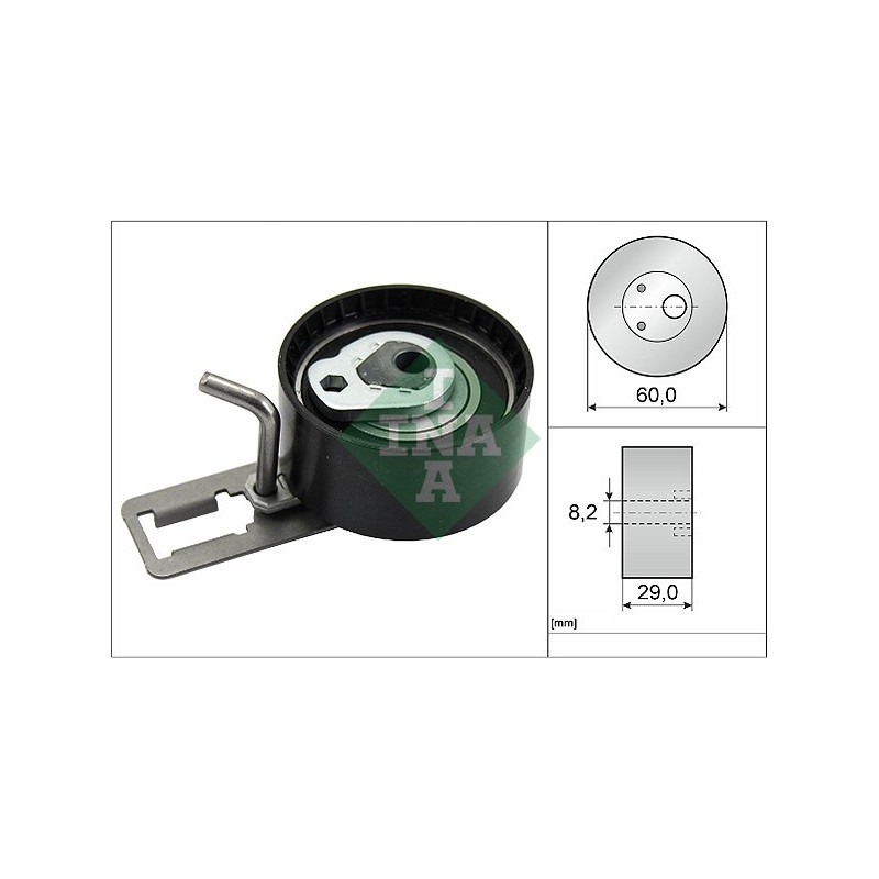 Tendicinghia distribuzione - INA