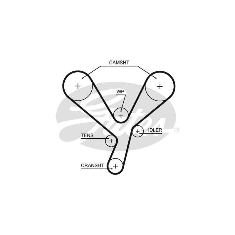 Cinghia/catena distribuzione - GATES