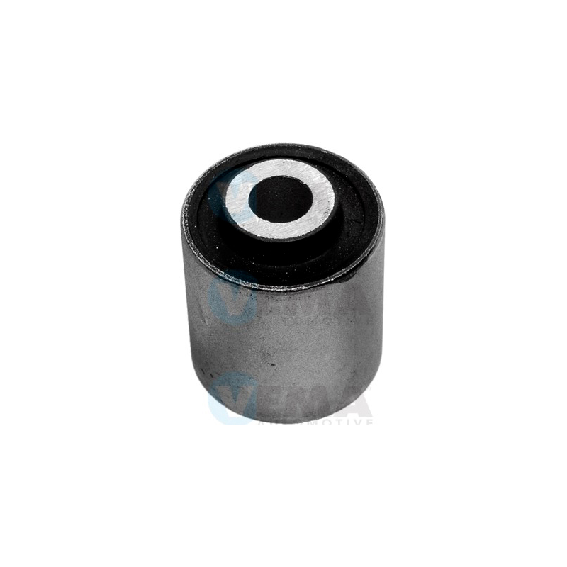 Braccio oscillante asse posteriore - VEMA