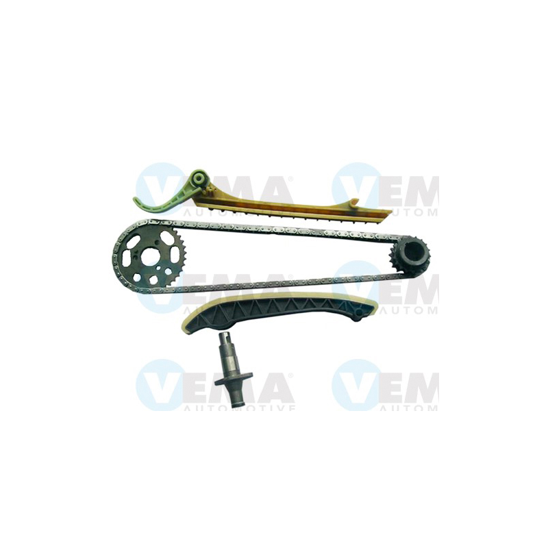 Kit distribuzione - VEMA