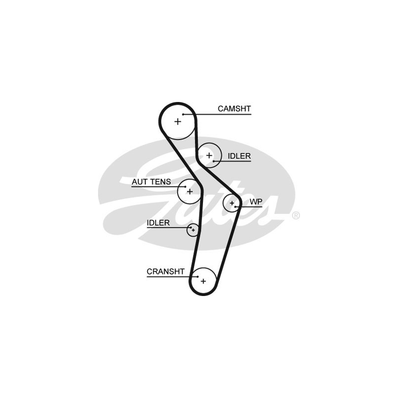 Kit distribuzione - GATES