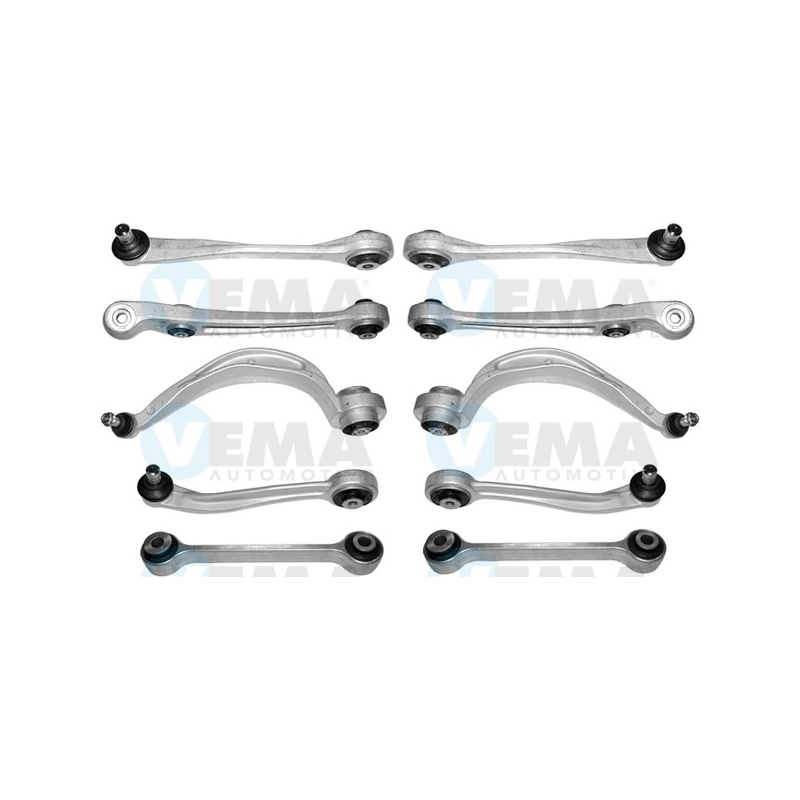 Braccio oscillante asse posteriore - VEMA