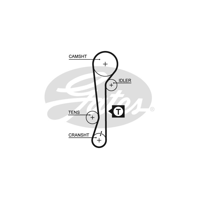 Cinghia/catena distribuzione - GATES