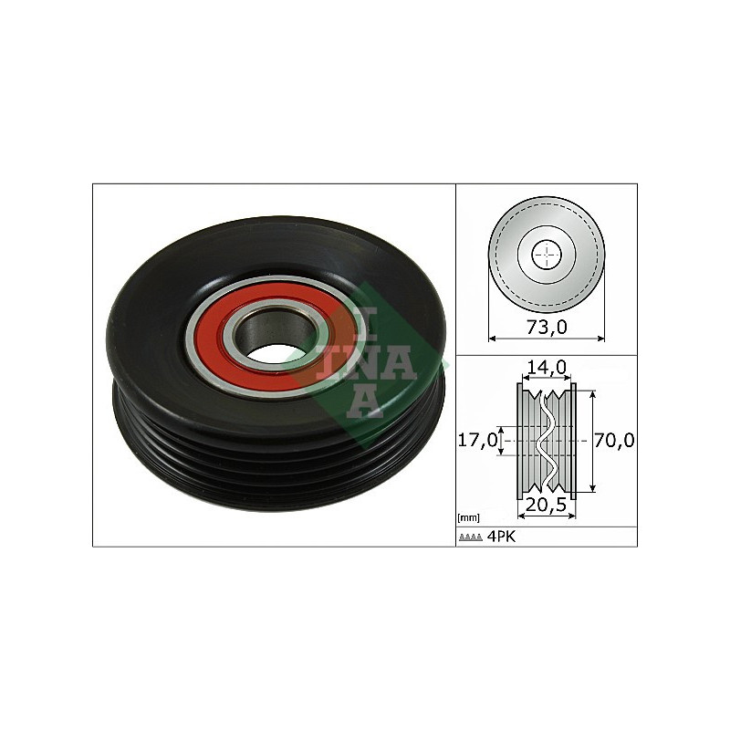 Tendicinghia trapezoidale - INA