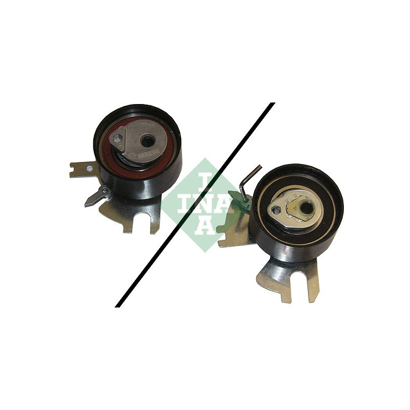 Tendicinghia distribuzione - INA