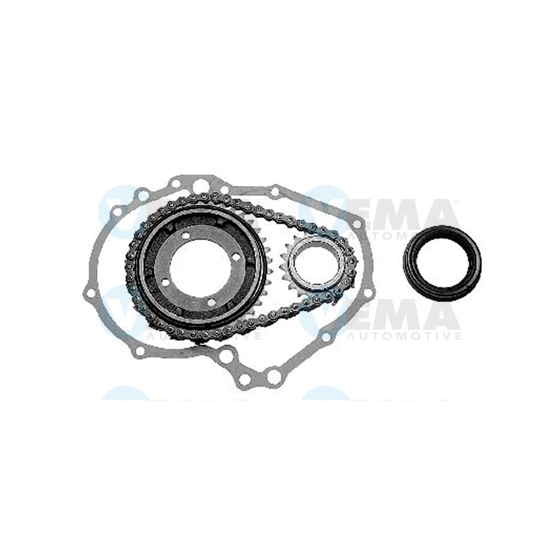 Kit distribuzione - VEMA