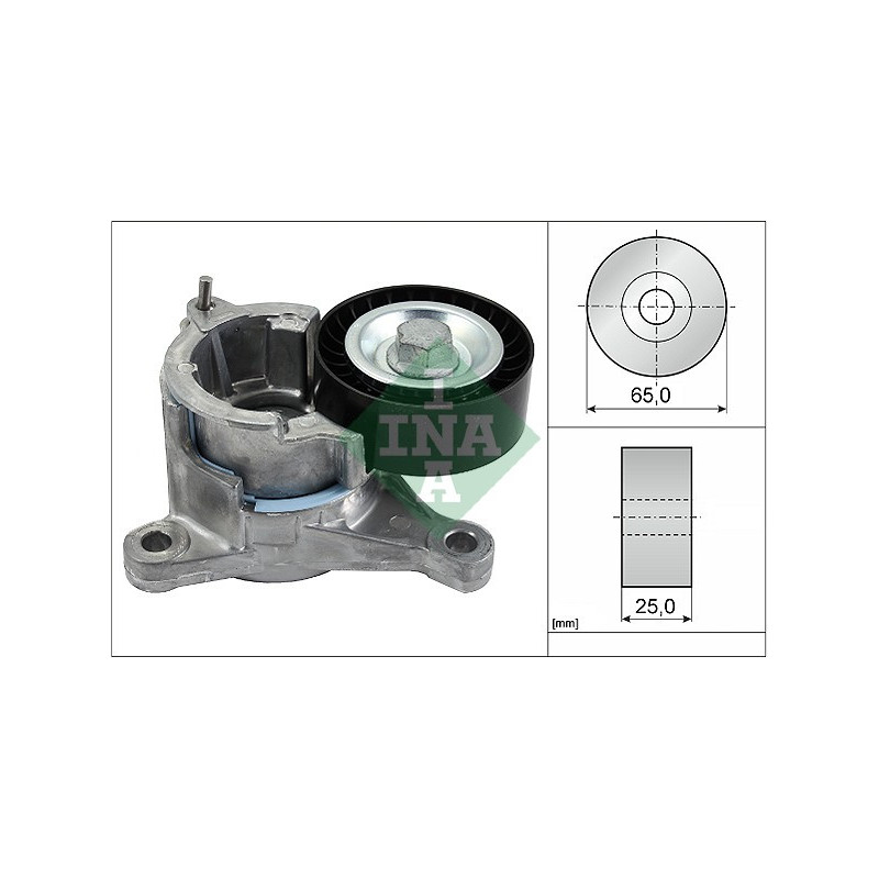 Tendicinghia trapezoidale - INA