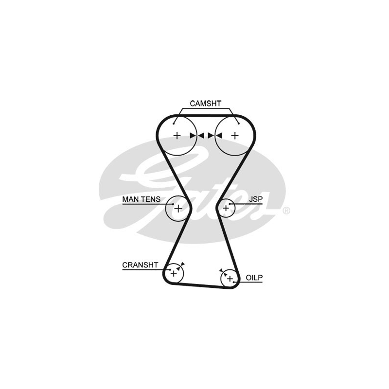Cinghia/catena distribuzione - GATES