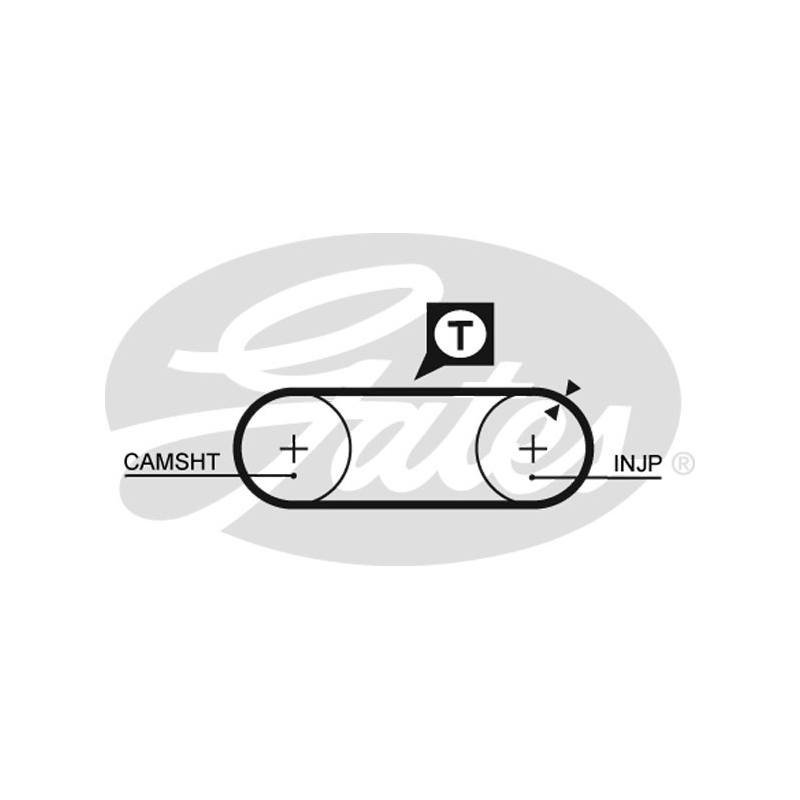 Cinghia/catena distribuzione - GATES