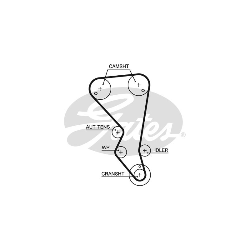 Cinghia/catena distribuzione - GATES
